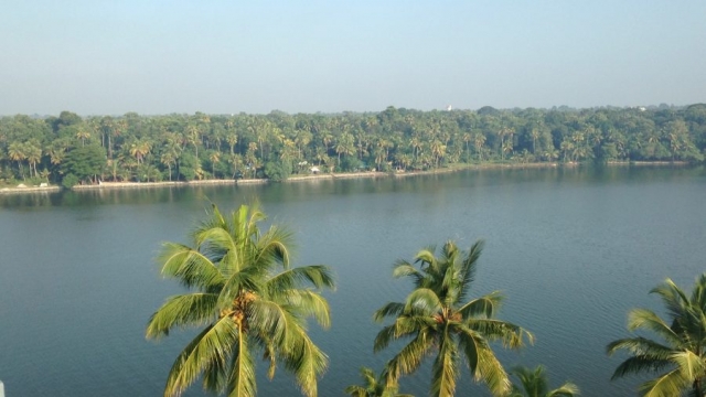 Backwaters